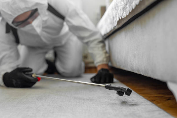 Professional Bed Bug Control technician working in Seminole, OK