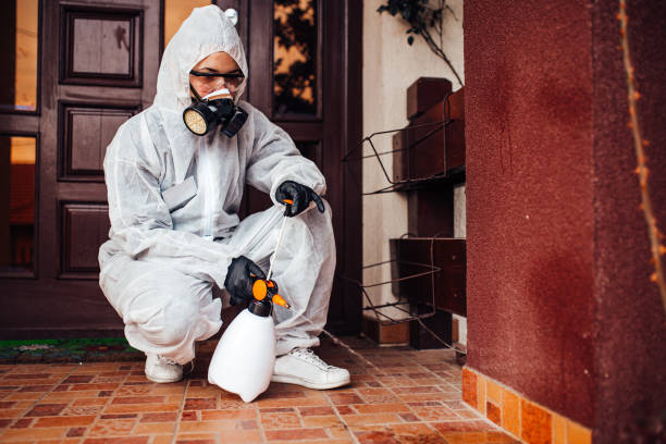 Reliable Bed Bug Control contractor in Seminole, OK by Nex Pest Control