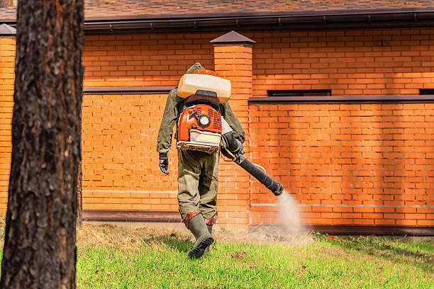 Trusted Rodent Control service in Seminole, OK - Nex Pest Control